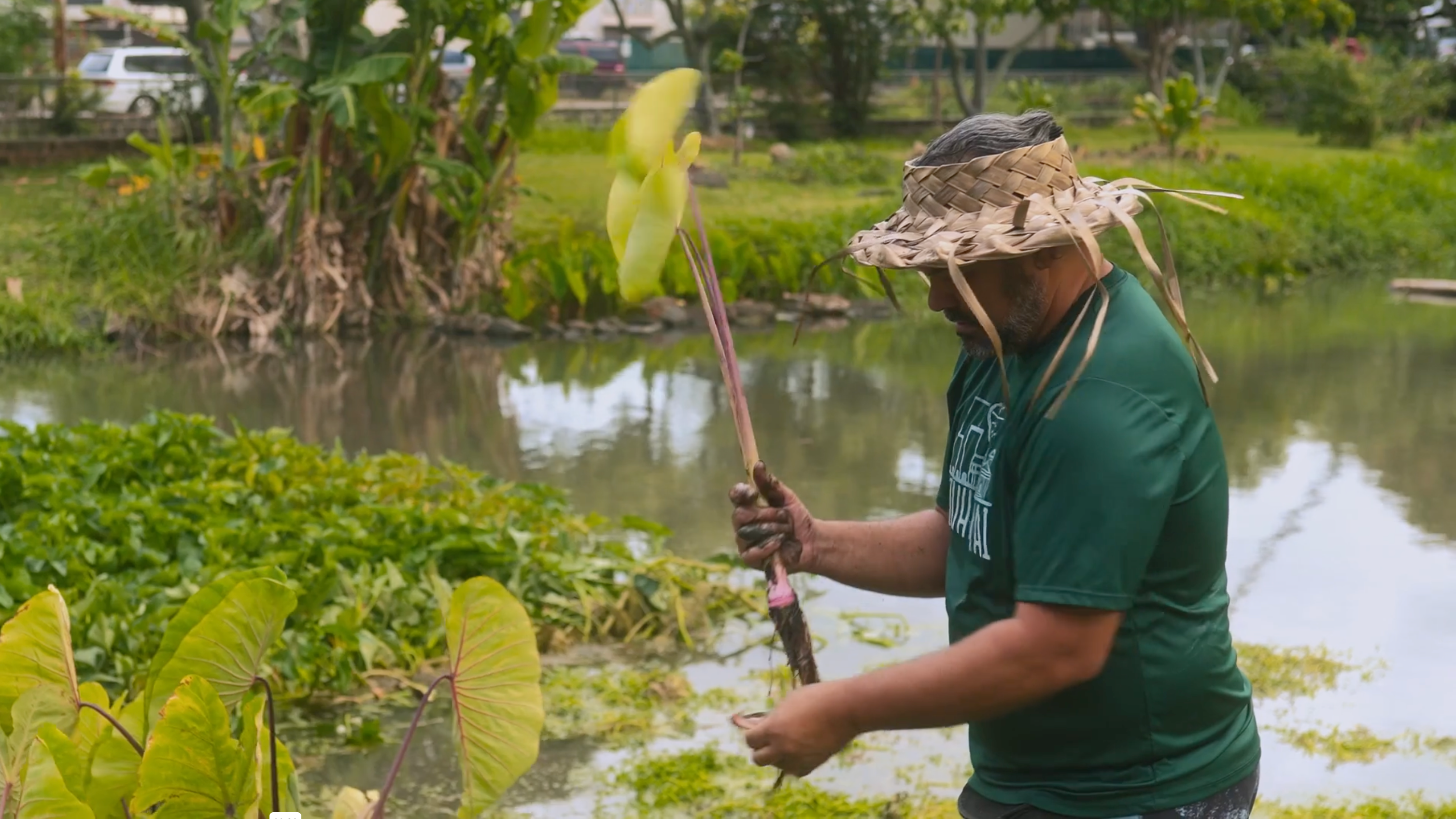 Schlamm Taro-py - Robert Silva